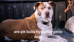 give me 10 meta and title for this keyword